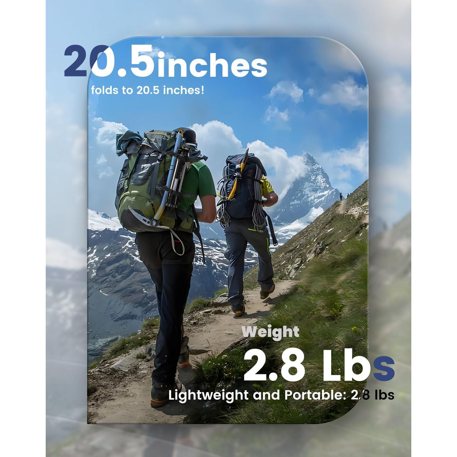 74 Inch Lightweight Aluminum Camera Tripod with 360° Pan Head