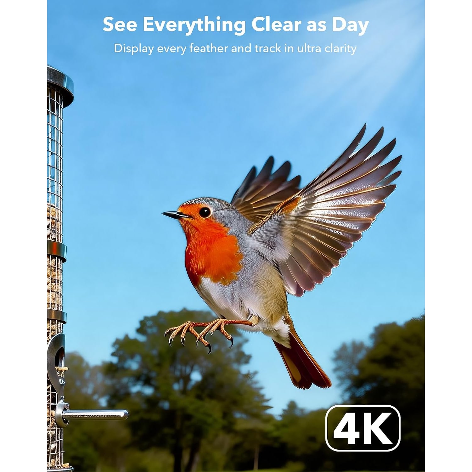 Solar Trail Camera 4K Wildlife Monitor with Night Vision: image 3