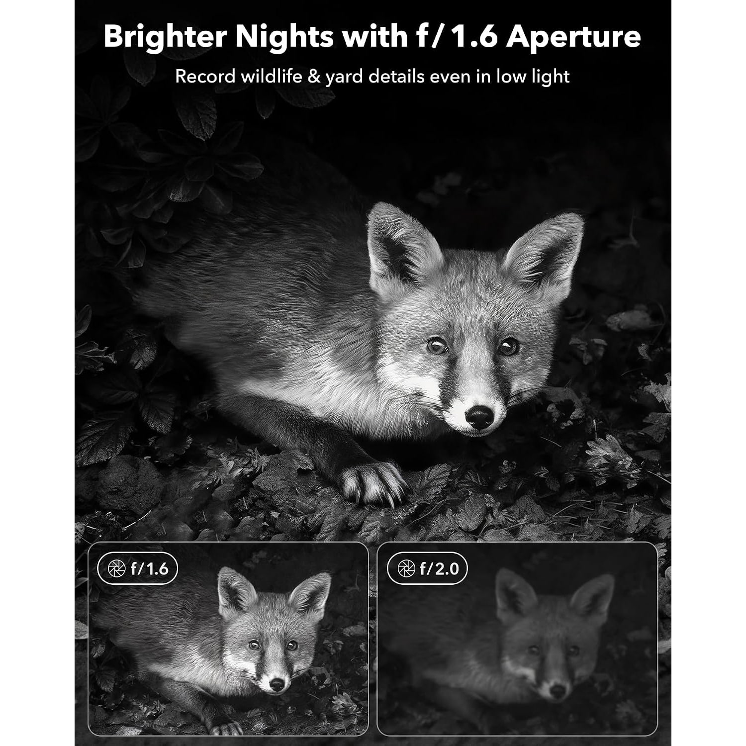 Solar Trail Camera 4K Wildlife Monitor with Night Vision: image 6